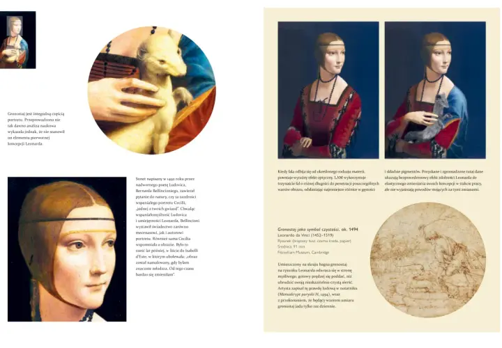 Portret kobiety z gronostajem, symbol czystości. Leonardo da Vinci, ok. 1494. Rysunek z Fitzwilliam Museum.